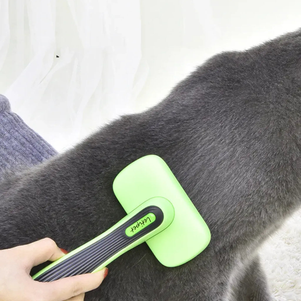 CleanFur™ Reusable Pet Hair Remover